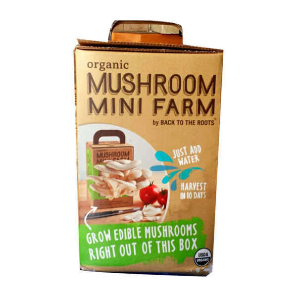 Printed Mushroom Kit Box