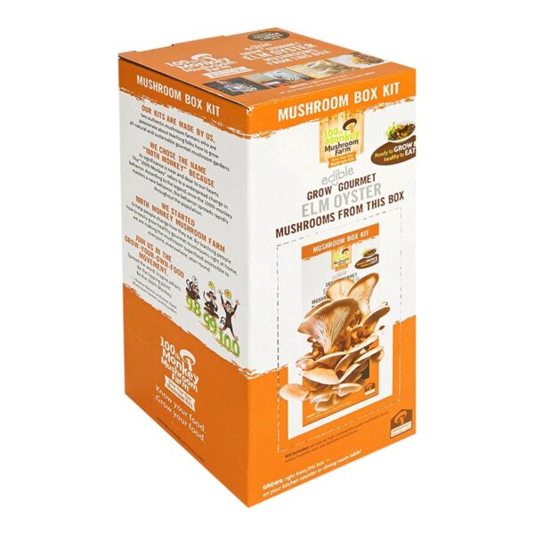 Mushroom Kit Box Wholesale