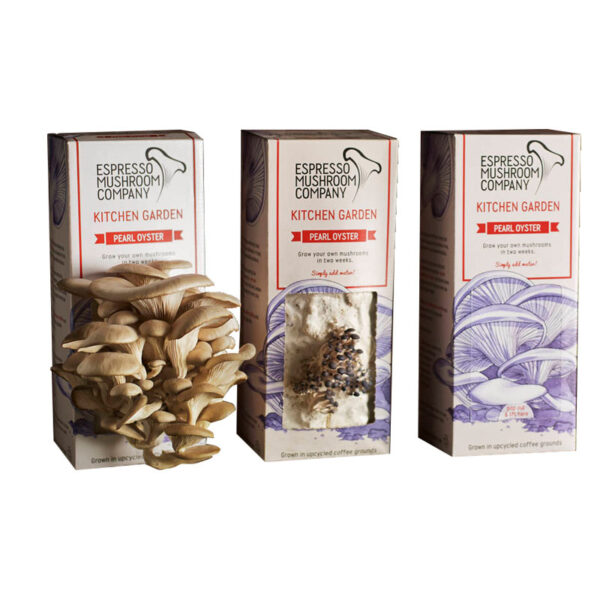 Mushroom Kit Box