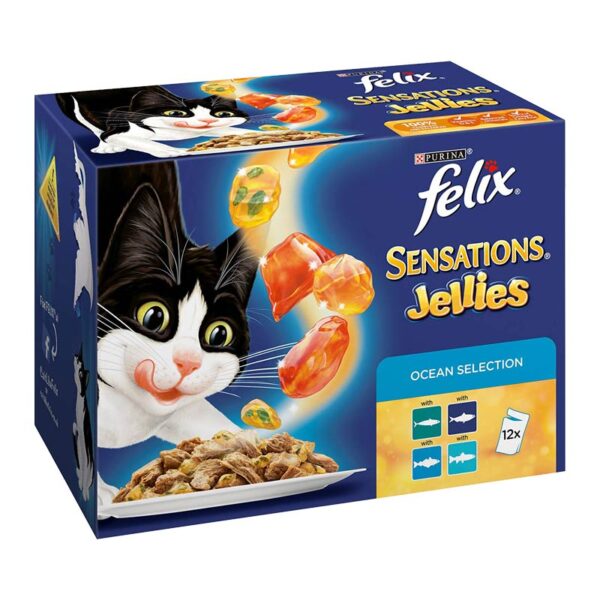 Custom Pets Food Boxes